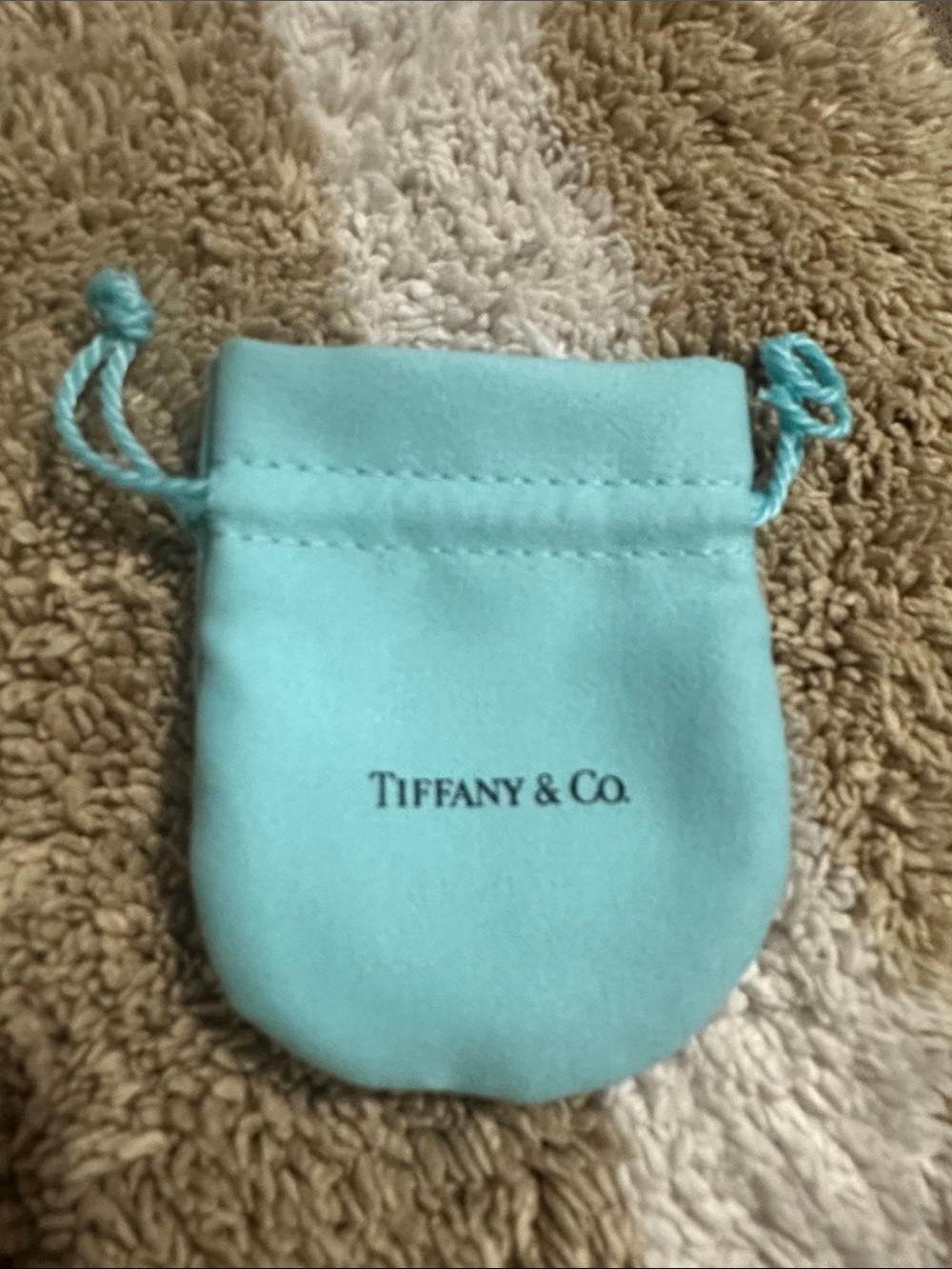 Tiffany & Co. Robin's Egg Blue Velvet Jewelry Pouch